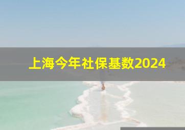 上海今年社保基数2024