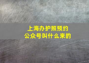 上海办护照预约公众号叫什么来的