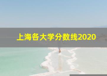 上海各大学分数线2020