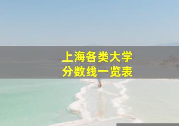 上海各类大学分数线一览表