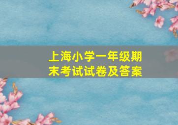 上海小学一年级期末考试试卷及答案