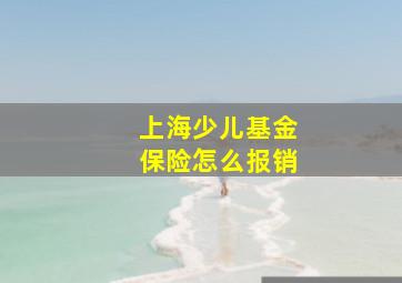 上海少儿基金保险怎么报销