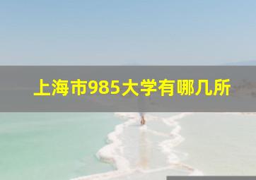 上海市985大学有哪几所