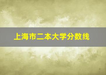 上海市二本大学分数线