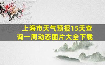 上海市天气预报15天查询一周动态图片大全下载