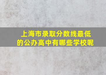 上海市录取分数线最低的公办高中有哪些学校呢