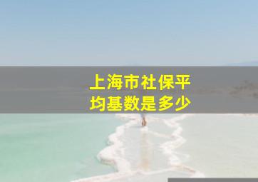 上海市社保平均基数是多少