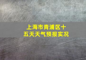 上海市青浦区十五天天气预报实况