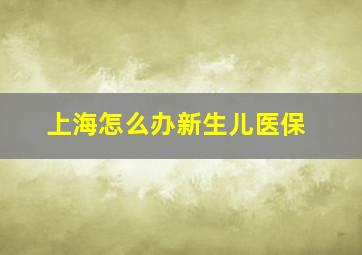 上海怎么办新生儿医保