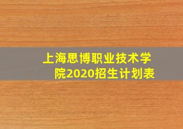 上海思博职业技术学院2020招生计划表