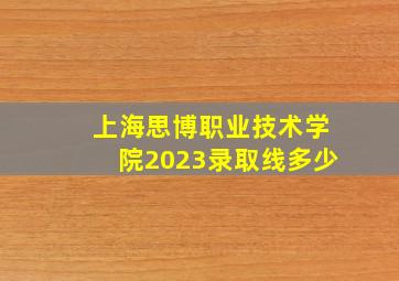 上海思博职业技术学院2023录取线多少