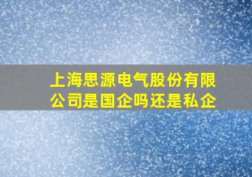 上海思源电气股份有限公司是国企吗还是私企