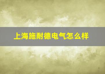 上海施耐德电气怎么样