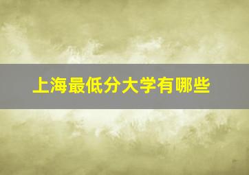 上海最低分大学有哪些