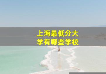 上海最低分大学有哪些学校