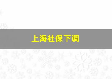 上海社保下调