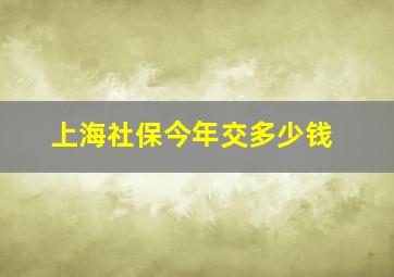 上海社保今年交多少钱