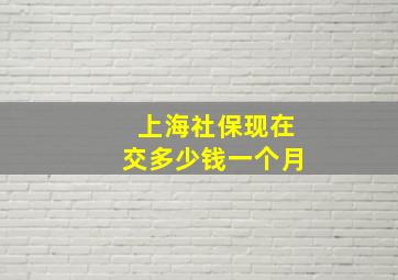 上海社保现在交多少钱一个月