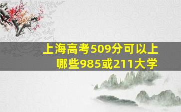 上海高考509分可以上哪些985或211大学