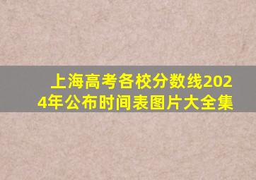 上海高考各校分数线2024年公布时间表图片大全集