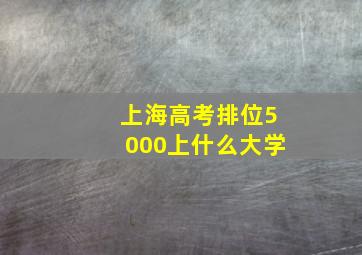 上海高考排位5000上什么大学