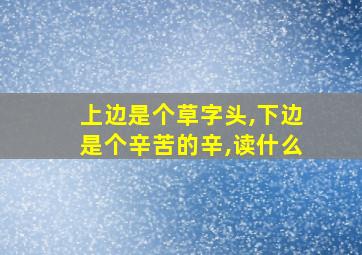 上边是个草字头,下边是个辛苦的辛,读什么