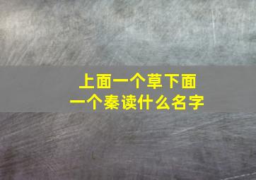 上面一个草下面一个秦读什么名字