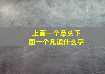 上面一个草头下面一个凡读什么字