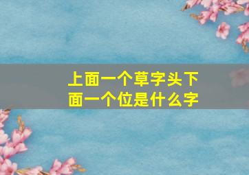 上面一个草字头下面一个位是什么字