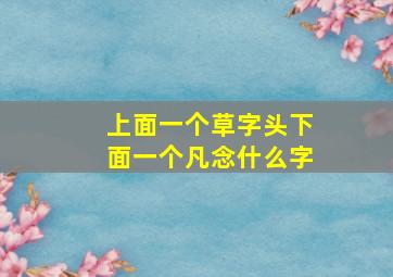 上面一个草字头下面一个凡念什么字