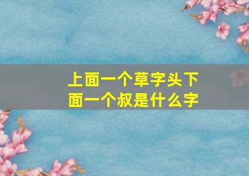 上面一个草字头下面一个叔是什么字