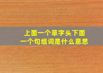 上面一个草字头下面一个句组词是什么意思