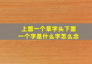 上面一个草字头下面一个字是什么字怎么念