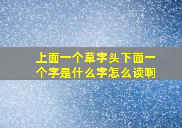 上面一个草字头下面一个字是什么字怎么读啊