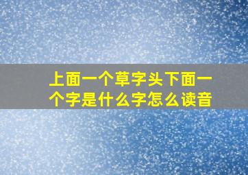 上面一个草字头下面一个字是什么字怎么读音