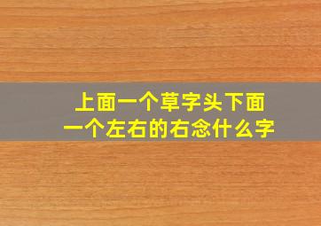 上面一个草字头下面一个左右的右念什么字