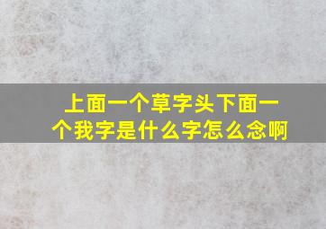 上面一个草字头下面一个我字是什么字怎么念啊