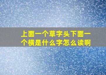 上面一个草字头下面一个横是什么字怎么读啊