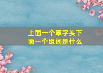 上面一个草字头下面一个组词是什么