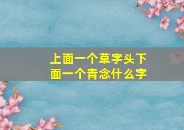 上面一个草字头下面一个青念什么字