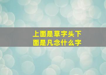 上面是草字头下面是凡念什么字