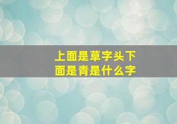 上面是草字头下面是青是什么字