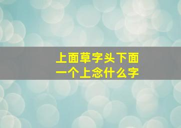 上面草字头下面一个上念什么字