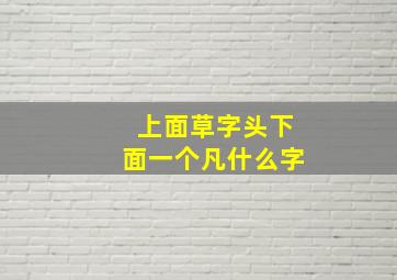 上面草字头下面一个凡什么字