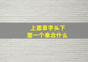 上面草字头下面一个秦念什么