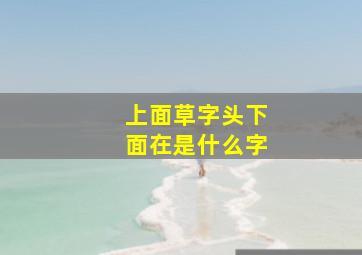 上面草字头下面在是什么字