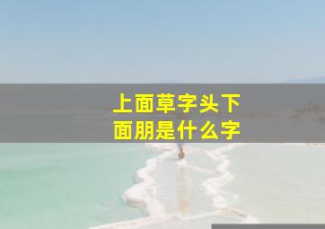 上面草字头下面朋是什么字