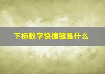 下标数字快捷键是什么