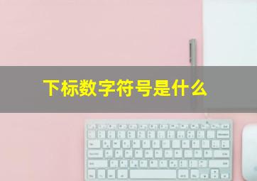 下标数字符号是什么