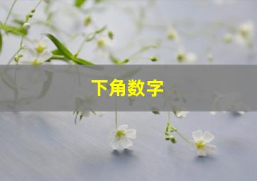 下角数字